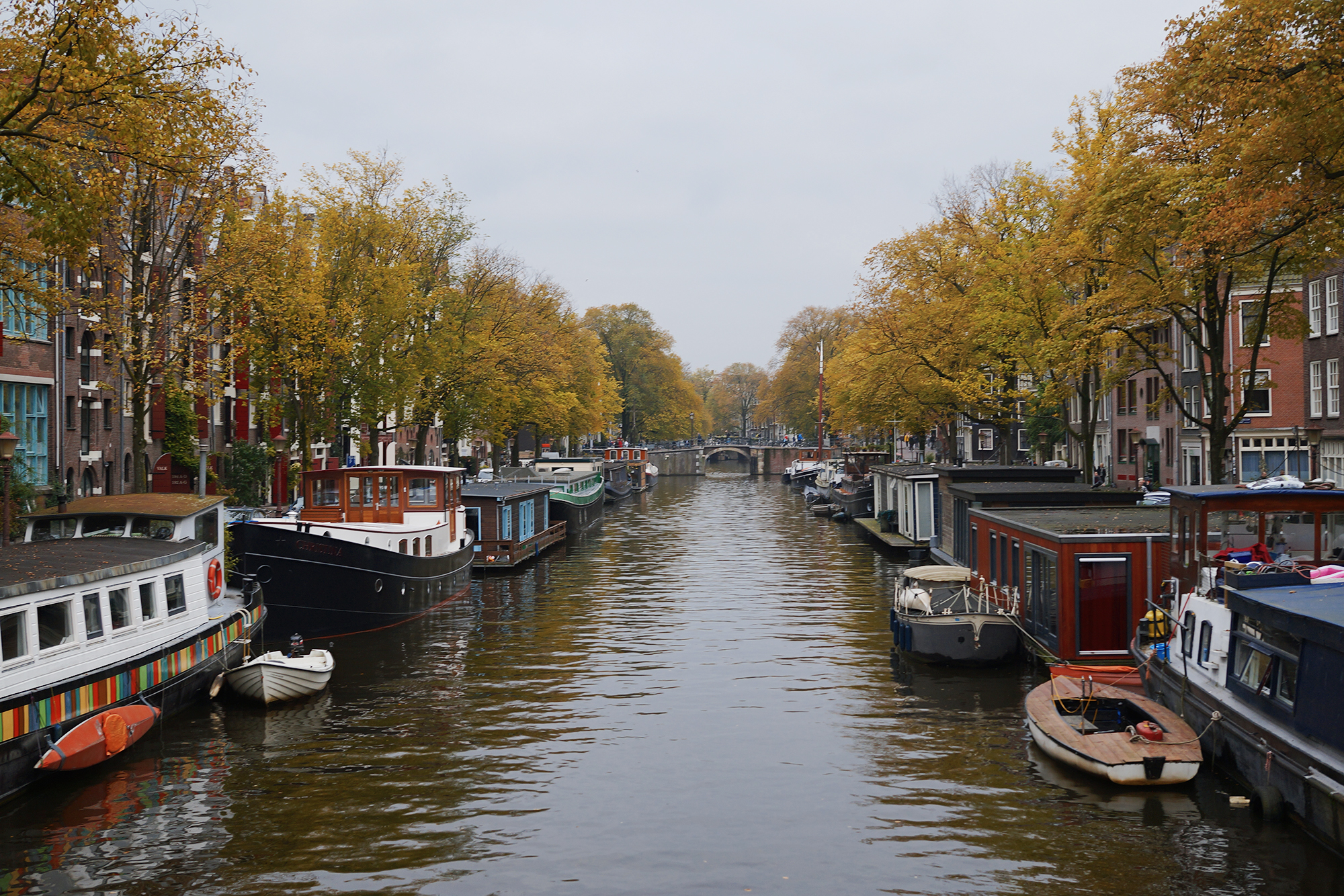 falling in love with amsterdam